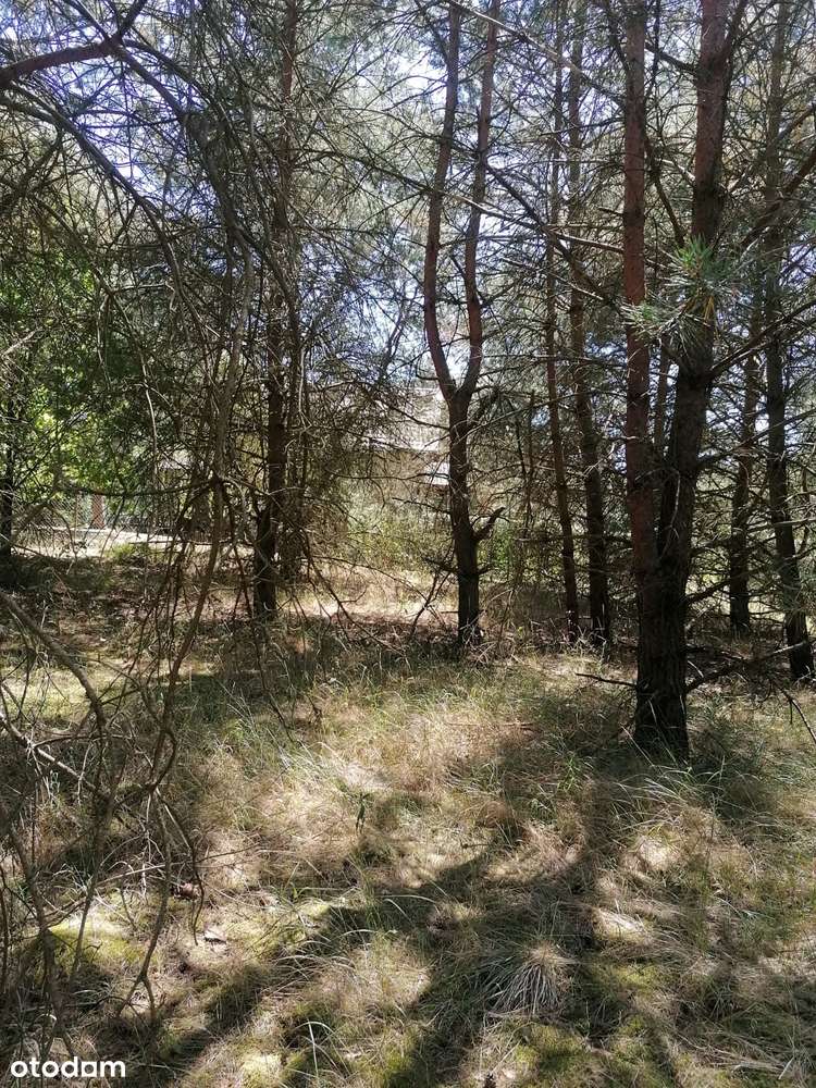 Ładna działka budowlana w lesie nad Jeziorem Tuczno-5