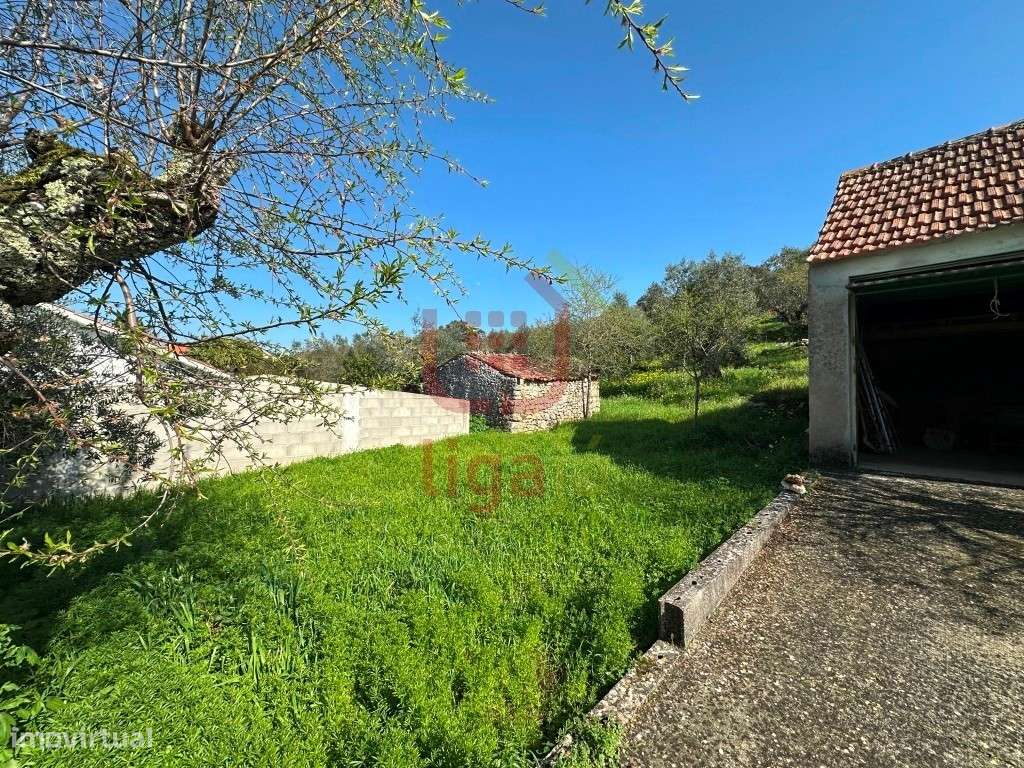 Moradia T2 com Terreno e Anexos - Ourém!-21