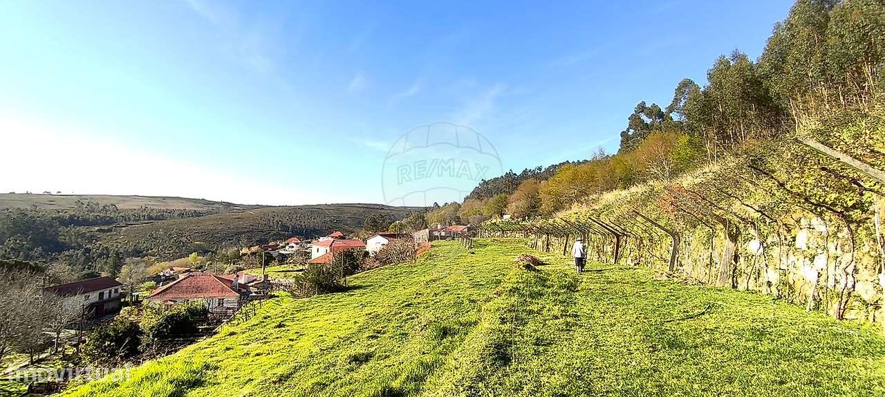 Quinta T3 para venda - Grande imagem: 4/27