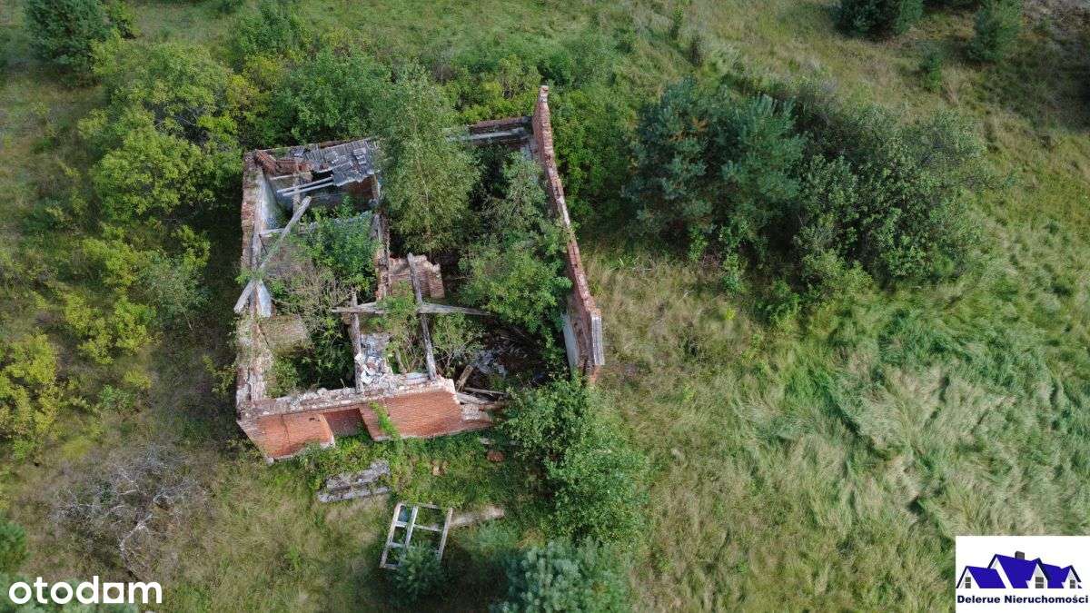 Siedlisko w sąsiedztwie lasu-10