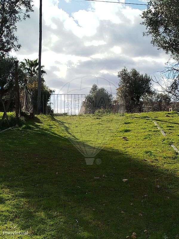 Terreno  para venda - Grande imagem: 4/10