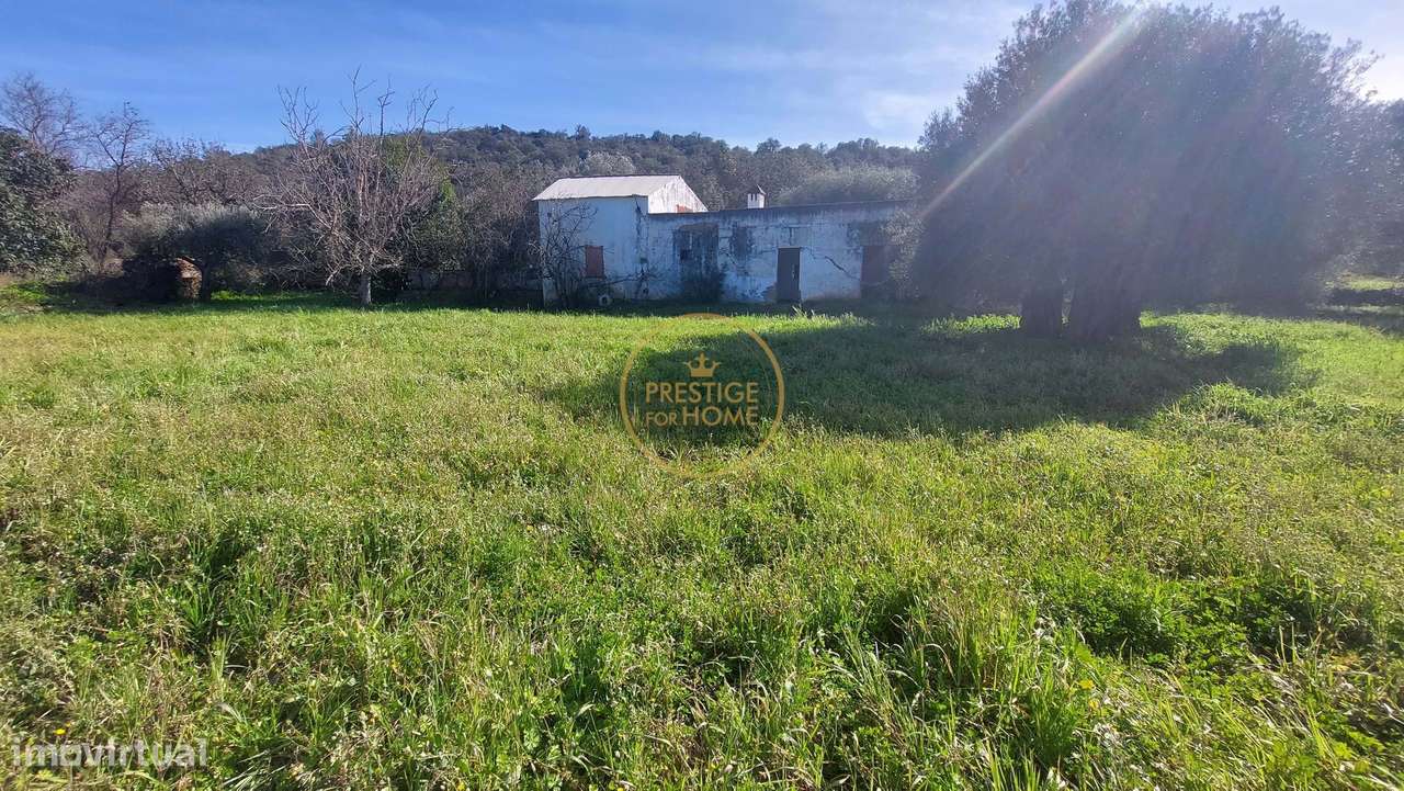 Magnífico terreno misto e plano de 10699 m2, localizado às margens de - Grande imagem: 3/41