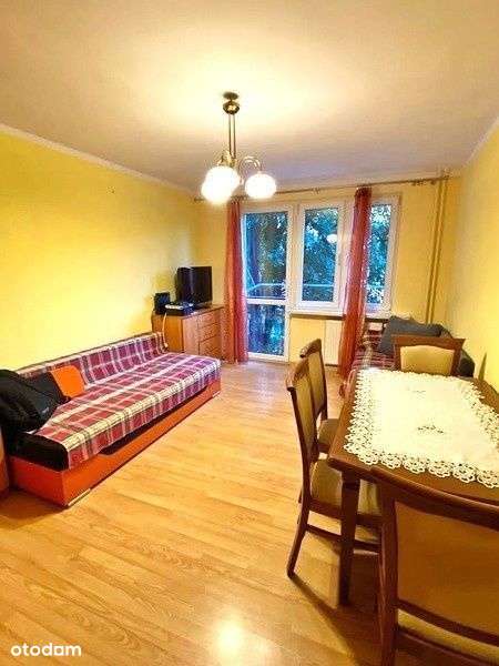 SUPER CENA Na Kozłówce 2 pokoje-7