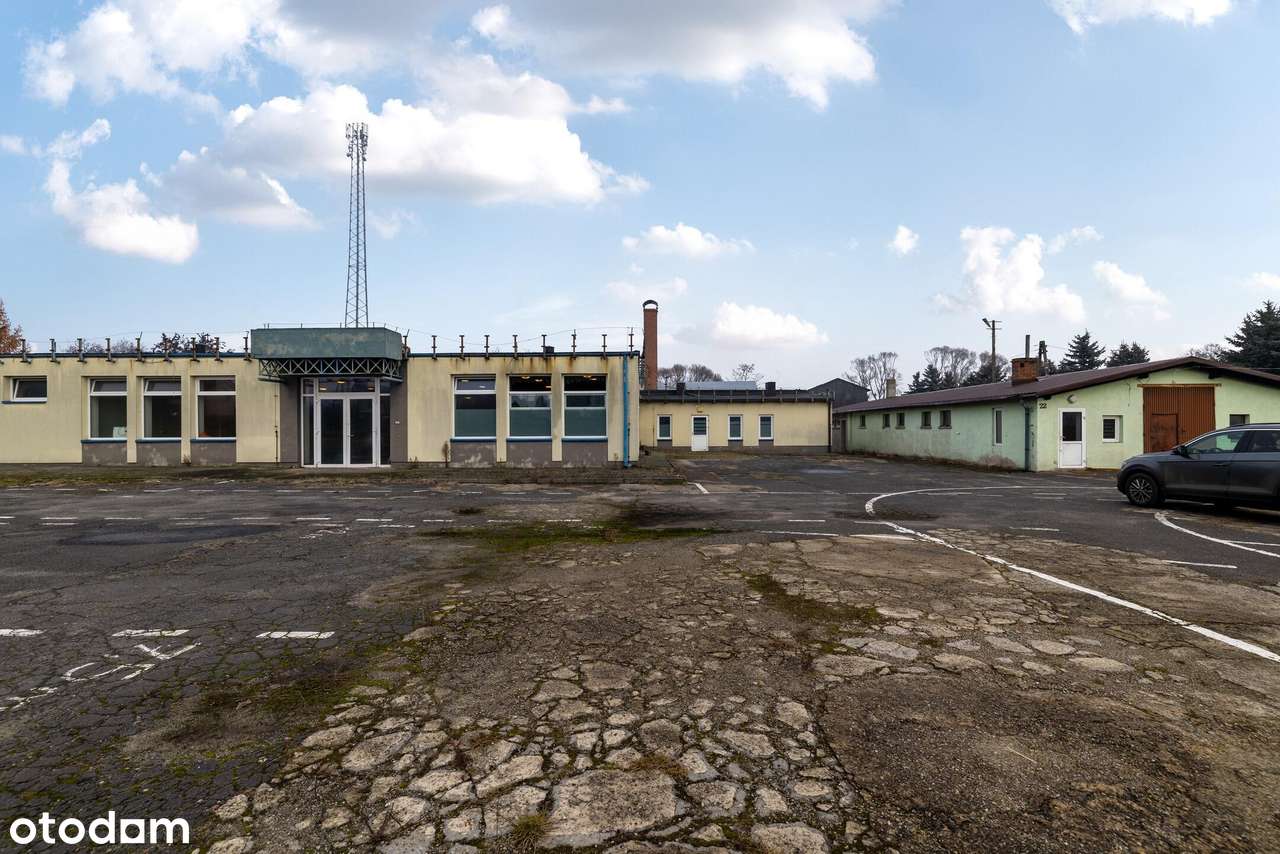 10 000  m2  w centrum Szczekocin-15