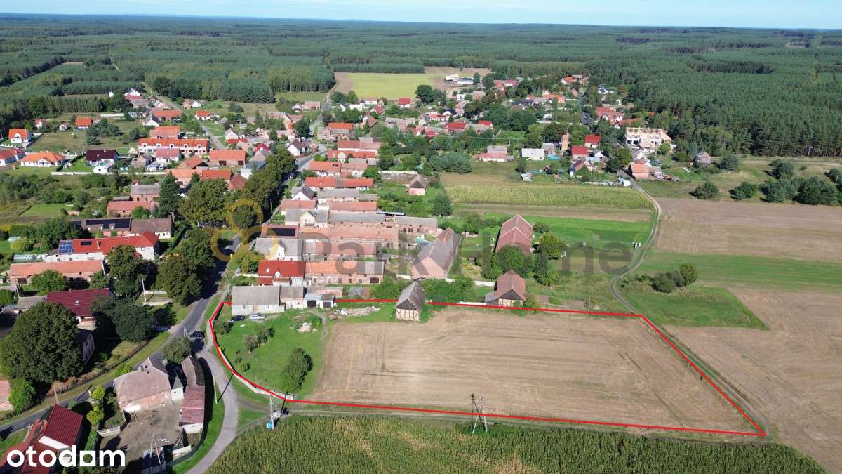 Dom z działką 65 arów, cicha wieś - Pełny obrazek: 4/11