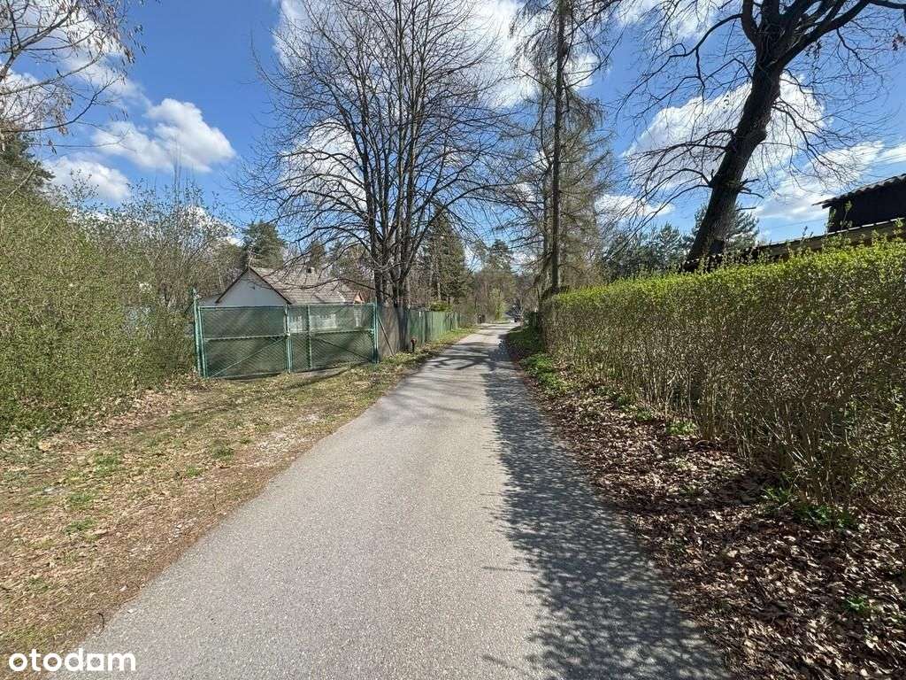 działka budowlana pod lasem - Pełny obrazek: 5/6