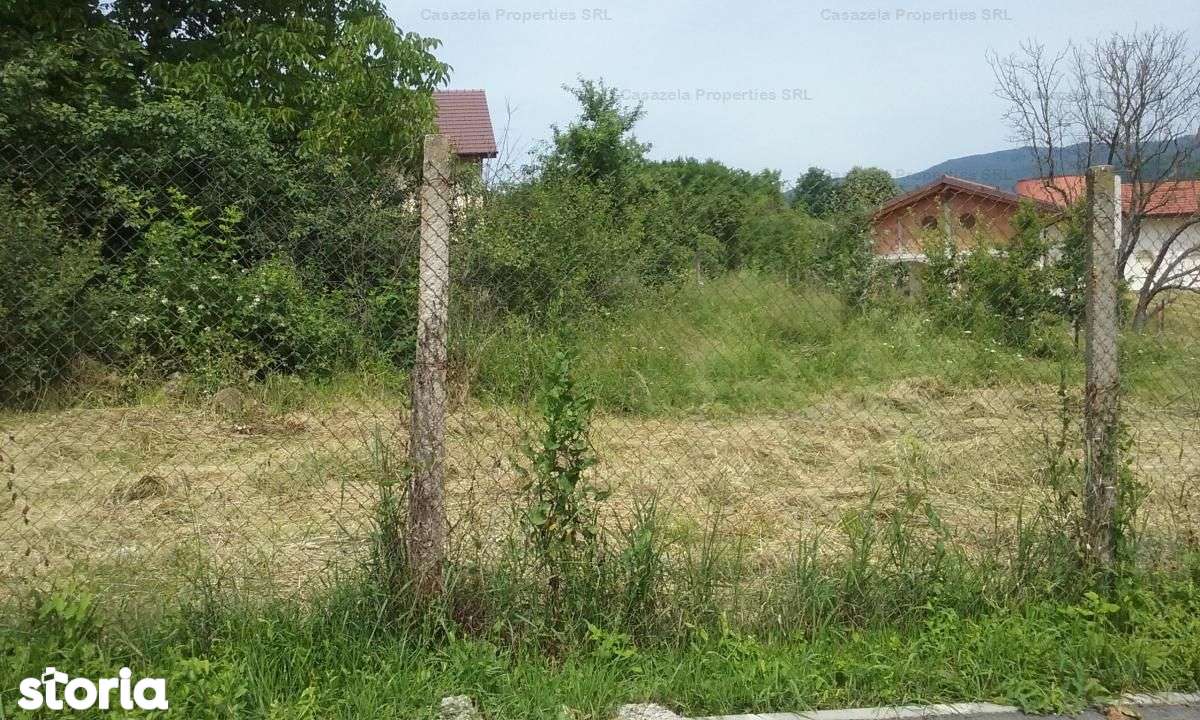 5 038 M Teren De Vanzare Valcea Judet Strada Poenari 4359424 Www Storia Ro
