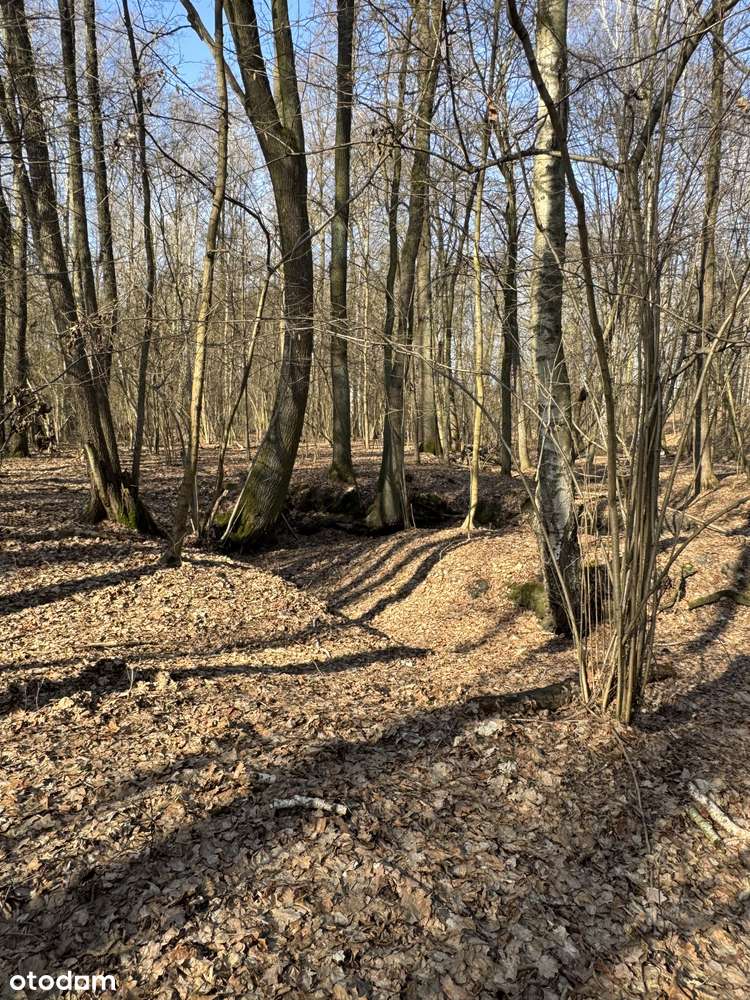 Wyjątkowa oferta! Działka z pozwoleniem na budowę zagrodową!-11