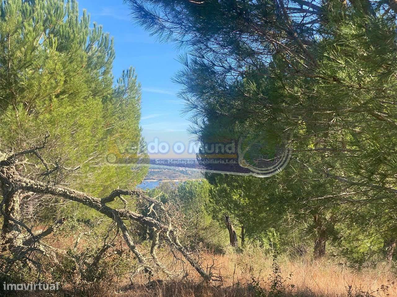 Terreno em Montargil (MTG002)-6