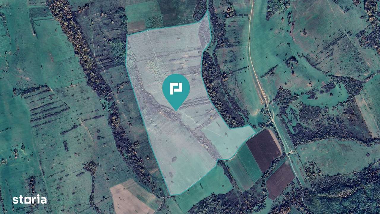 Teren arabil de 87 hectare în Bara, Timiș - Imagine principală: 4/7