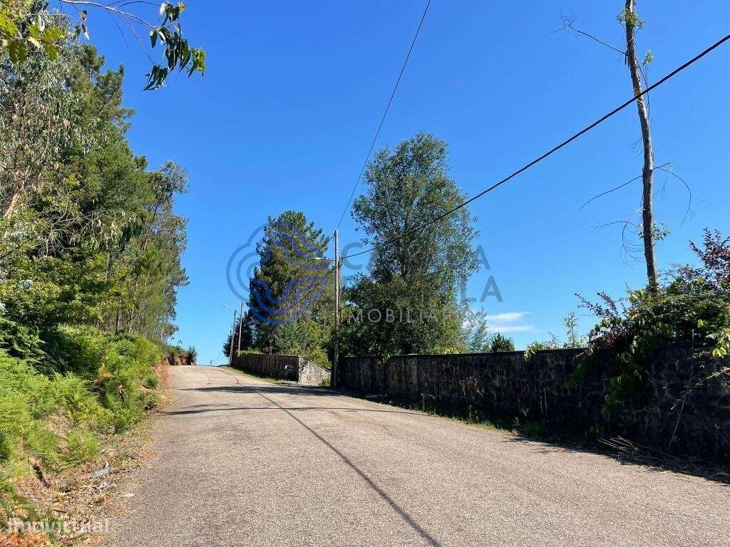 Terreno Rústico em Travanca Santa maria da Feira - Grande imagem: 3/15