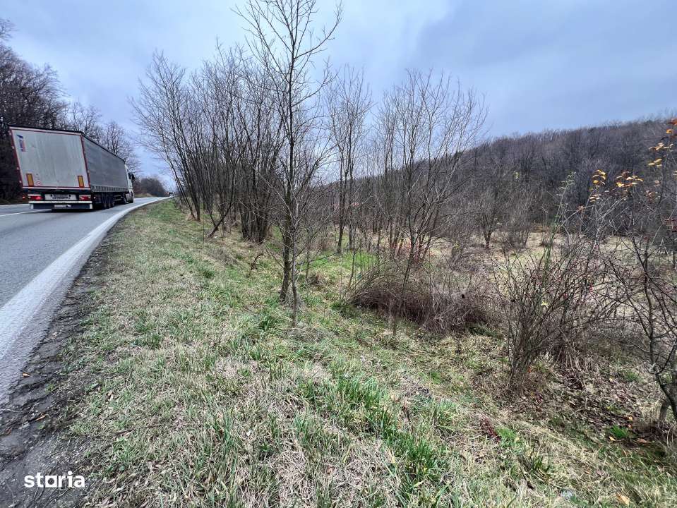 Teren intravilan 6.500 m²–Deschidere 144 ml drum european E81, km 3-1