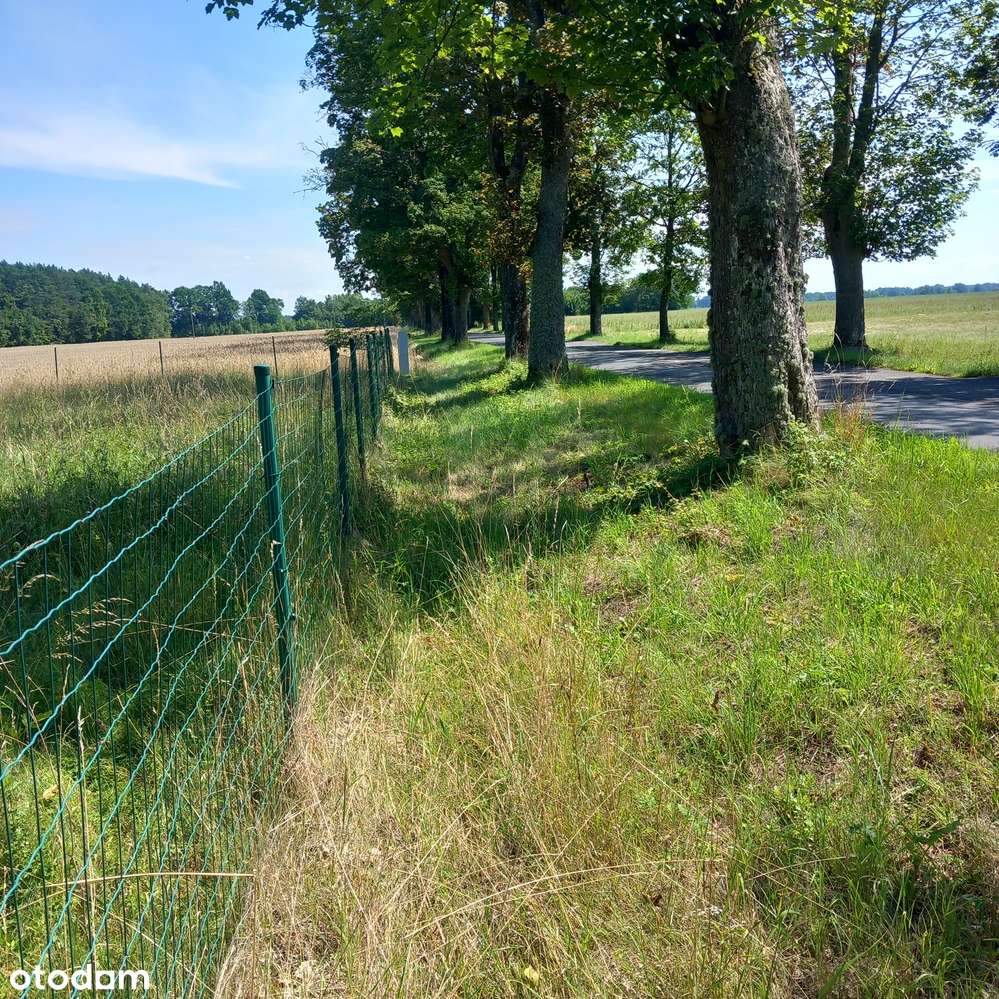 Małe budowlane przy lesie, mediach, asfaltowej drodze i szumie rzeczki-6