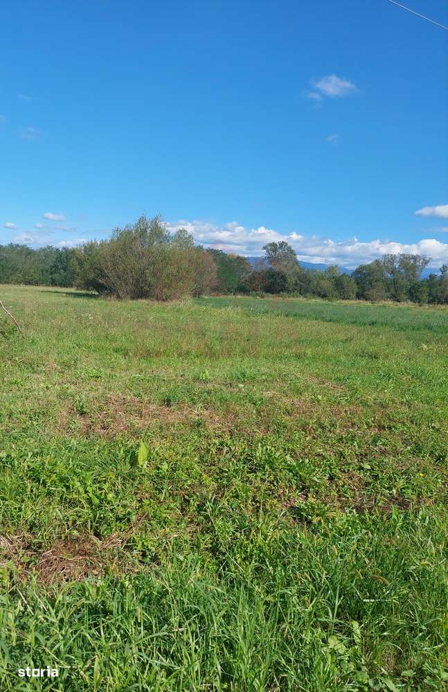 TEREN INTRAVILAN\699 mp, 45€ mp\ CARANSEBEȘ\ ZONA TEIUȘ - Imagine principală: 4/7