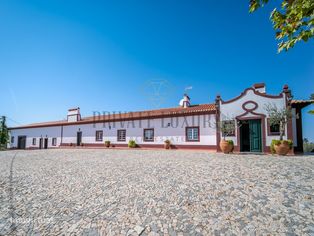 Turismo rural e equestre | Horse Property - Grande imagem: 4/60