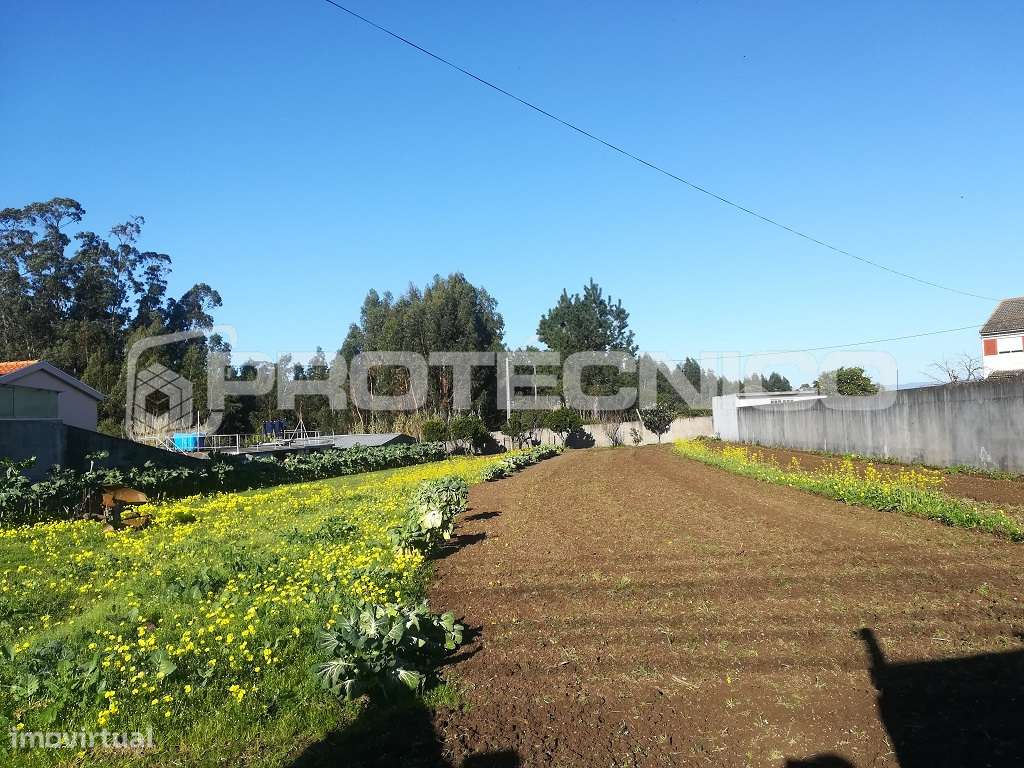 Terreno c/ 1.400m2 - Cacia - Grande imagem: 2/7