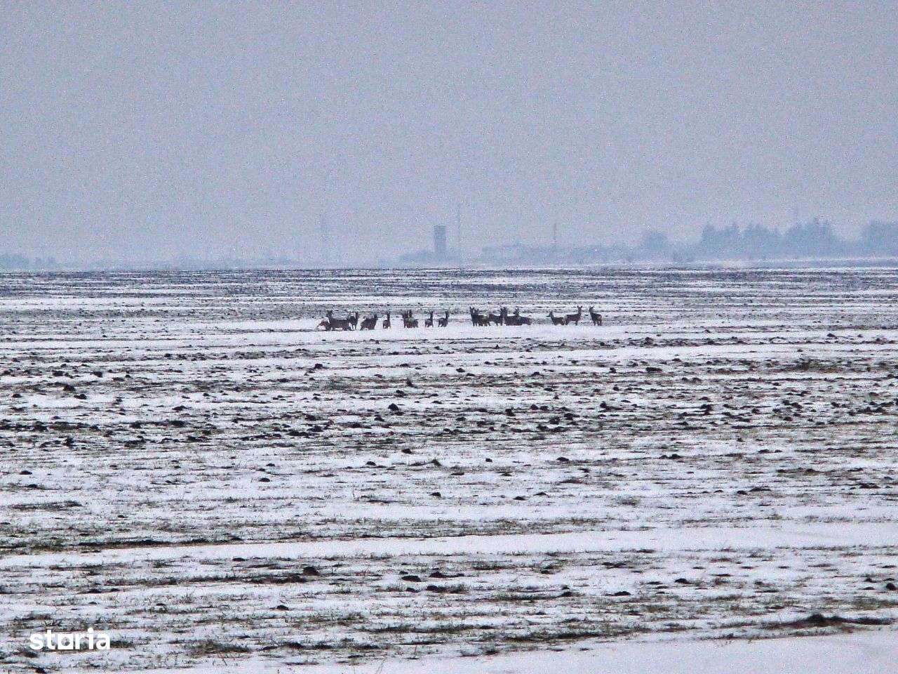 Ocazie investitie zona Frumușani, langa proiect in dezvoltare.-11