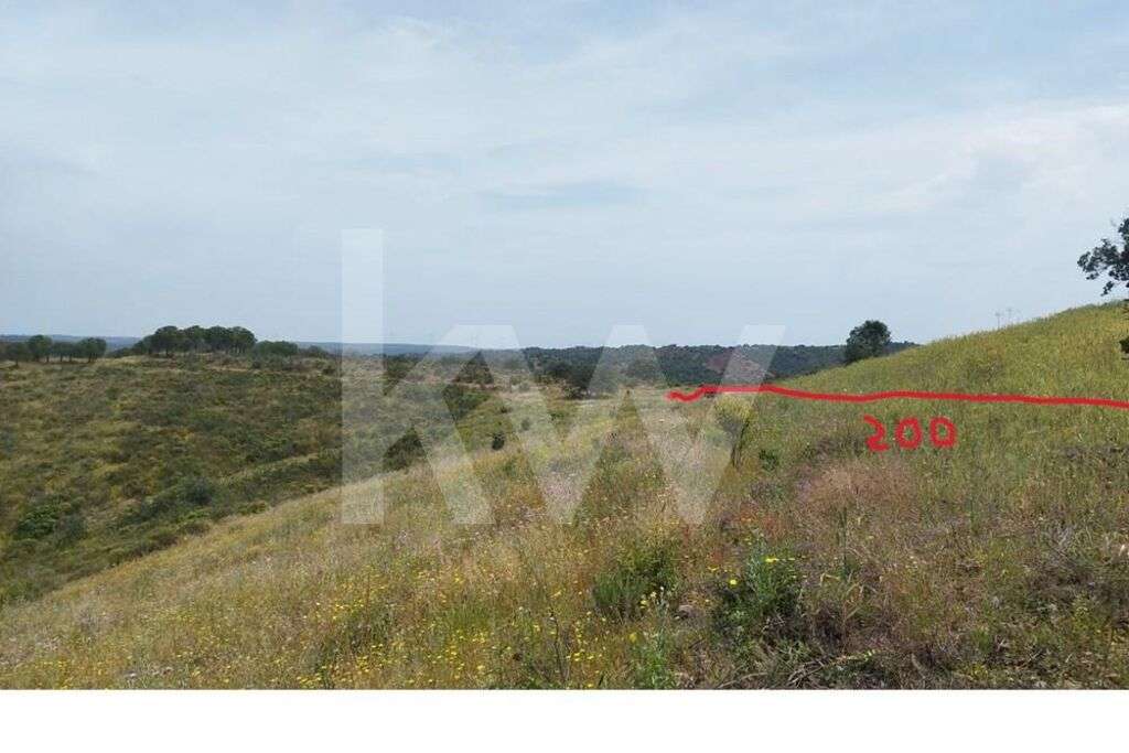 Terreno para venda em Laranjeiras, Alcoutim - Faro - Grande imagem: 3/10