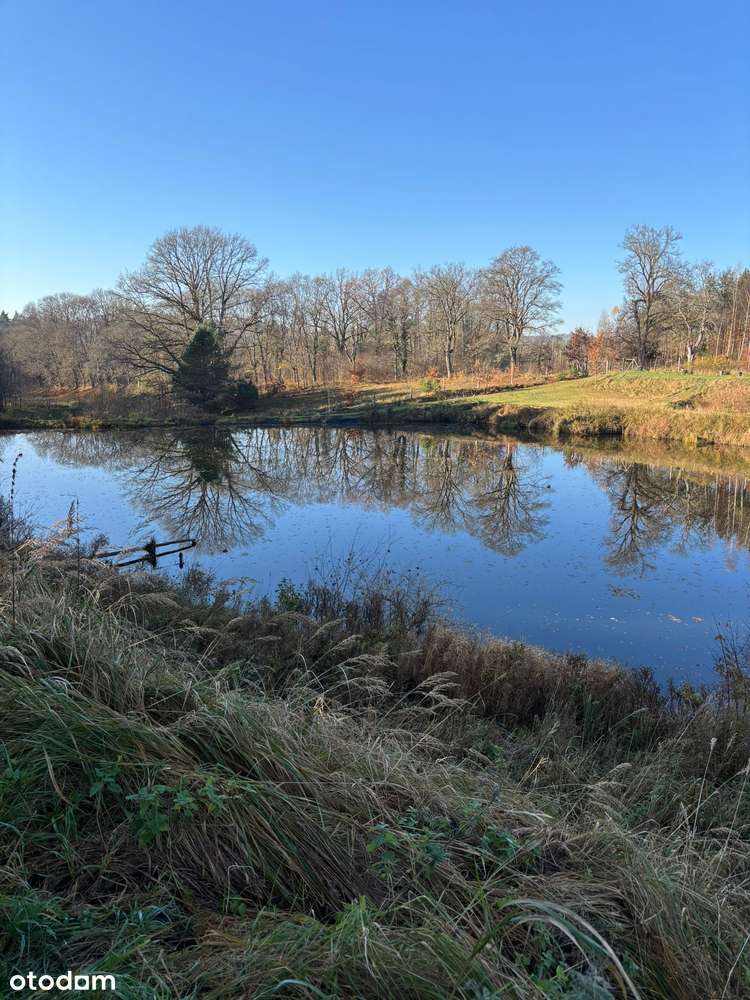 Działka siedliskowa z wydanymi warunkami zabudowy + stawy rybne-15