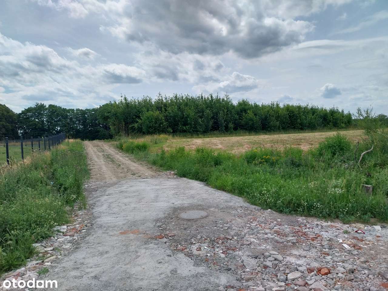 Nad jeziorem,WZ,media,Cieszyn,10km do centrum Koszalina, 28m front - Pełny obrazek: 5/10