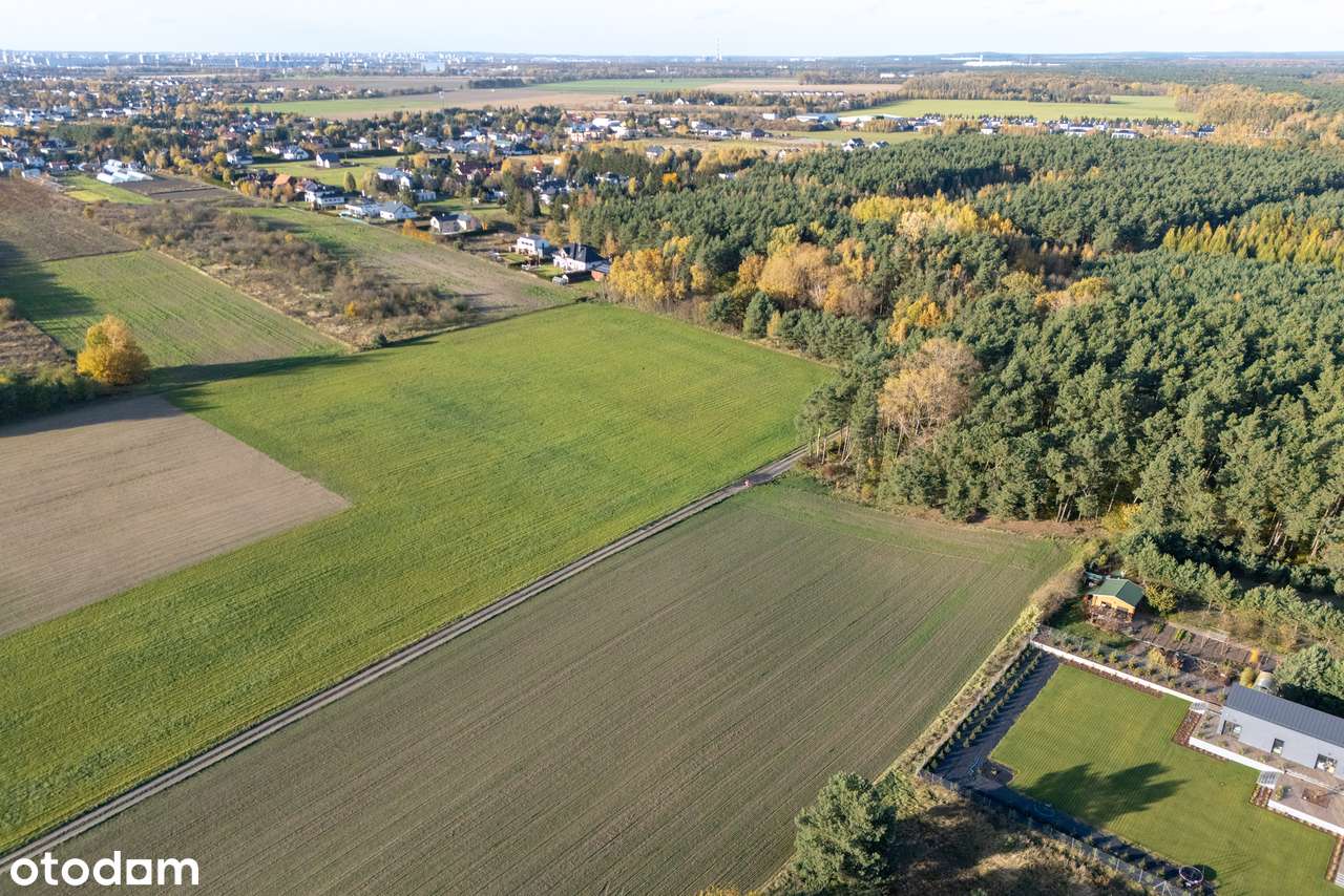 Działka 1674 m² – Poznań, Szczepankowo • WZ • tuż przy lesie • nr 2/3-8