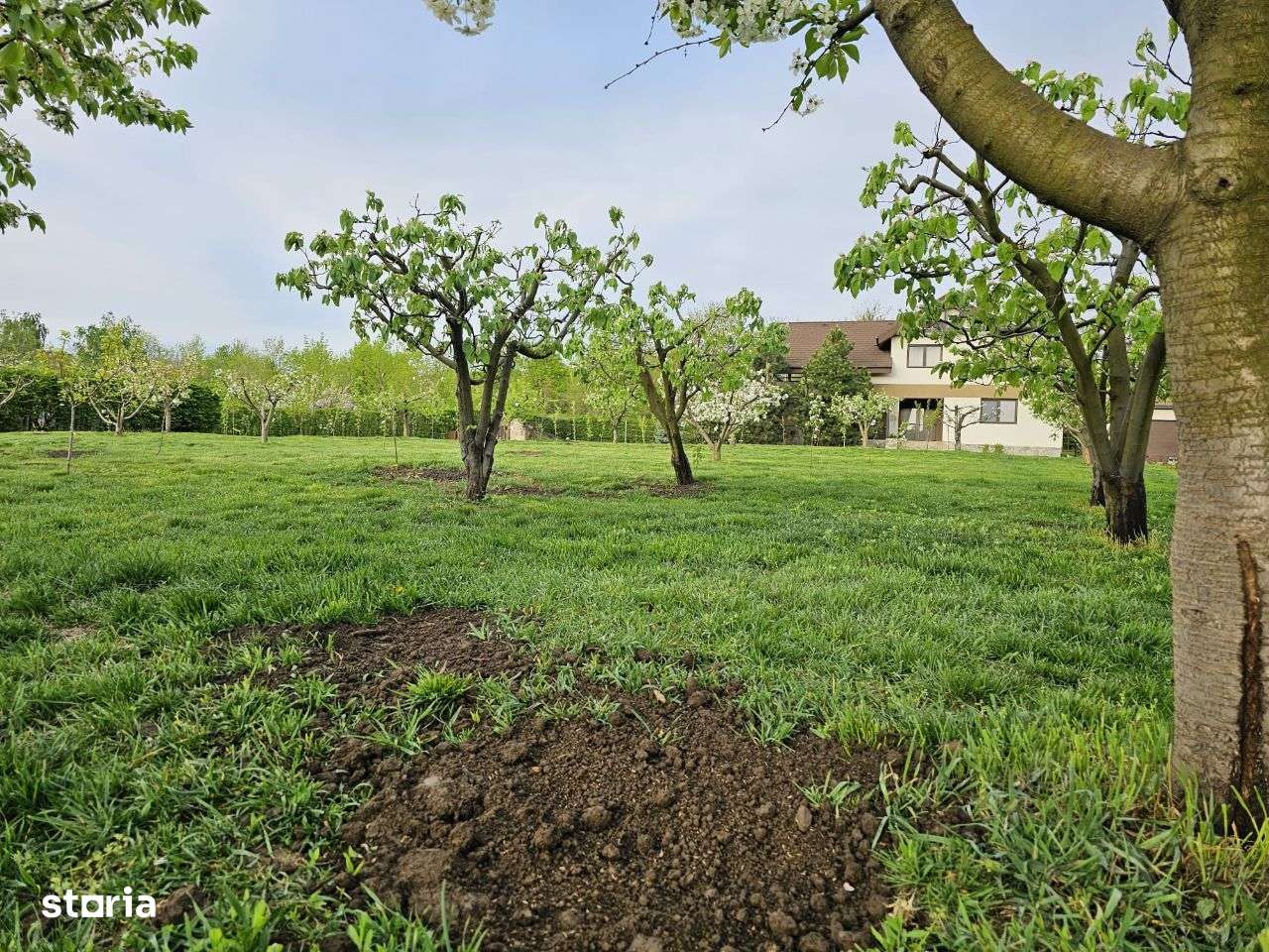 Teren 400- 600 mp Iasi Copou Al. Sadoveanu Viticultori - Imagine principală: 4/6