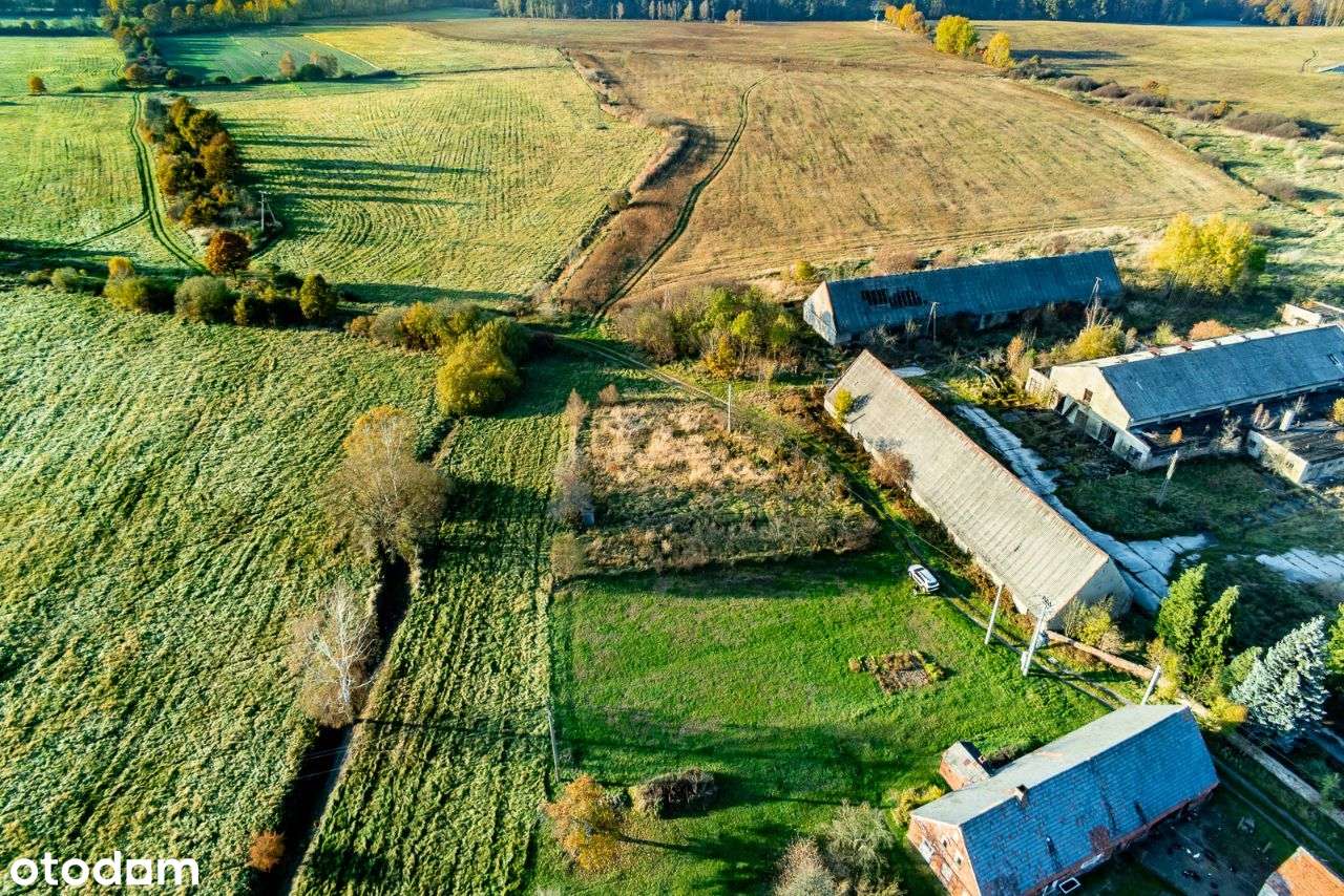 Działka z Domem - Białowice ok 4000 m2-8