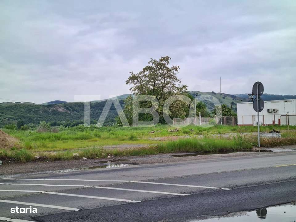 Teren intravilan 4100 mp de vanzare in Lancram - Imagine principală: 2/4