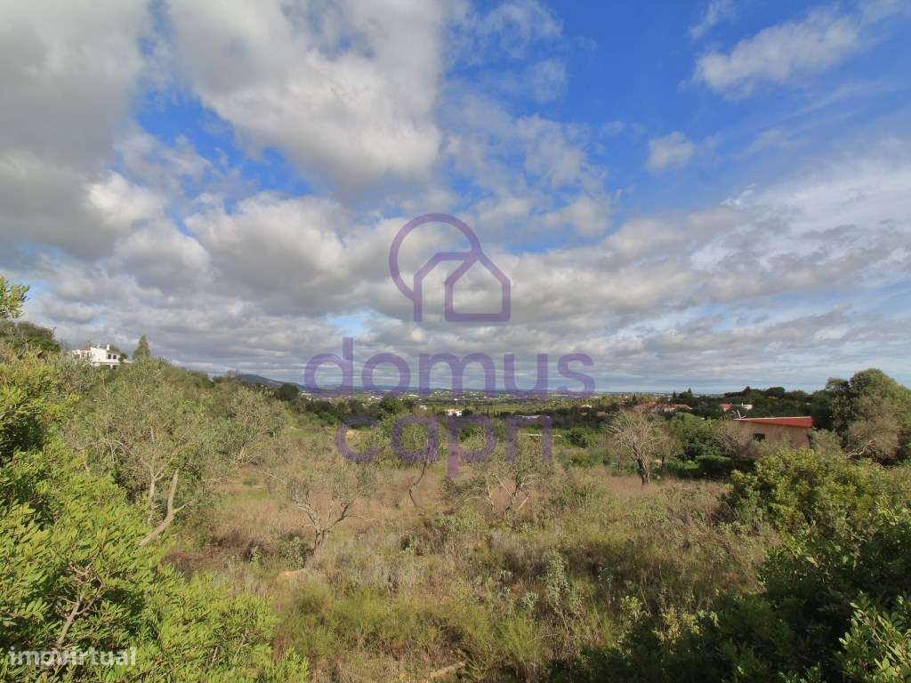 Terreno Rustico em Laranjeiro - Moncarapacho - Olhão - Grande imagem: 2/9