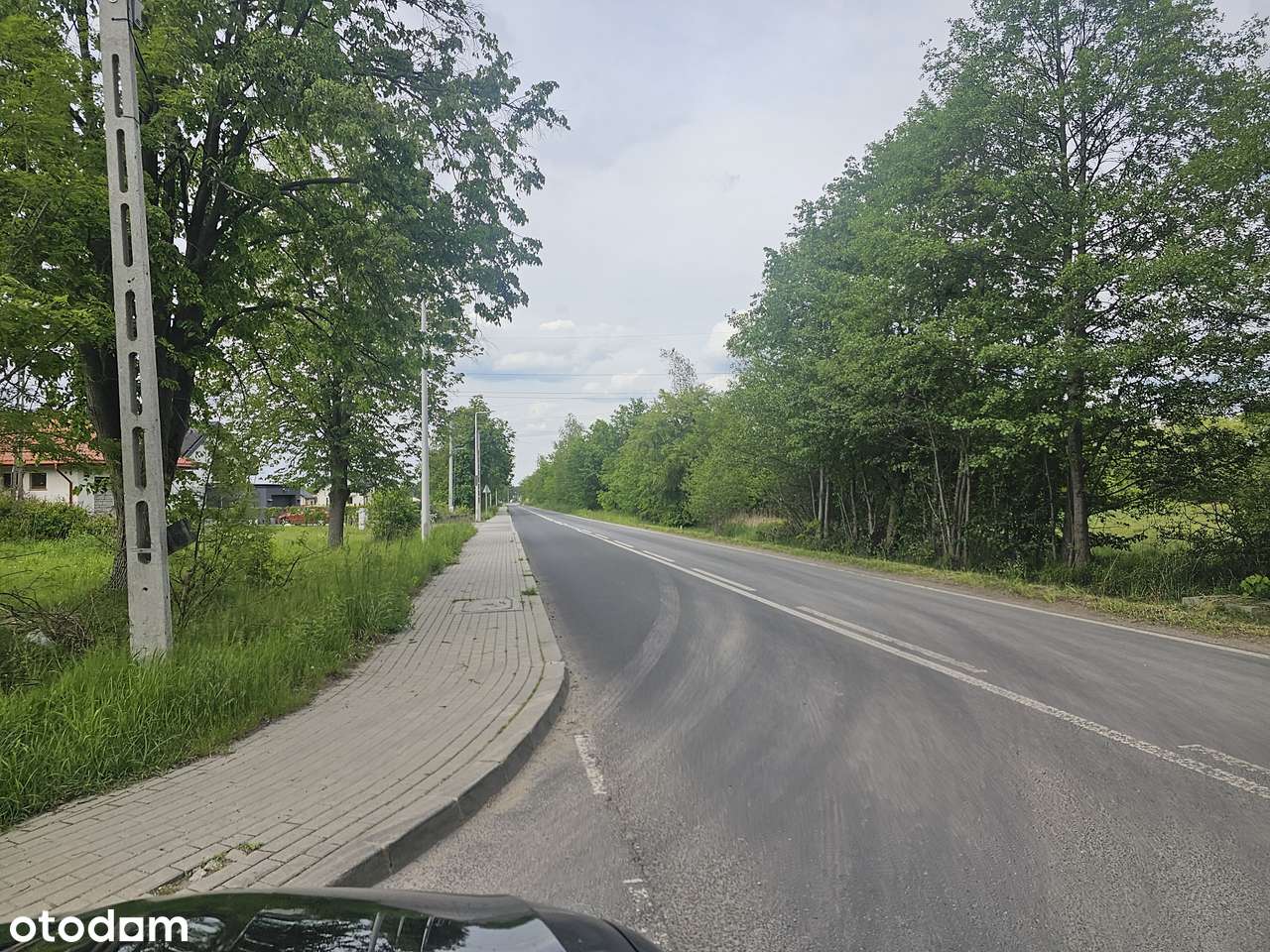 Blisko trasy S17. Uchwalony MPZP - USŁUGI / PRZEMYSŁ. Brak sąsiadów-4