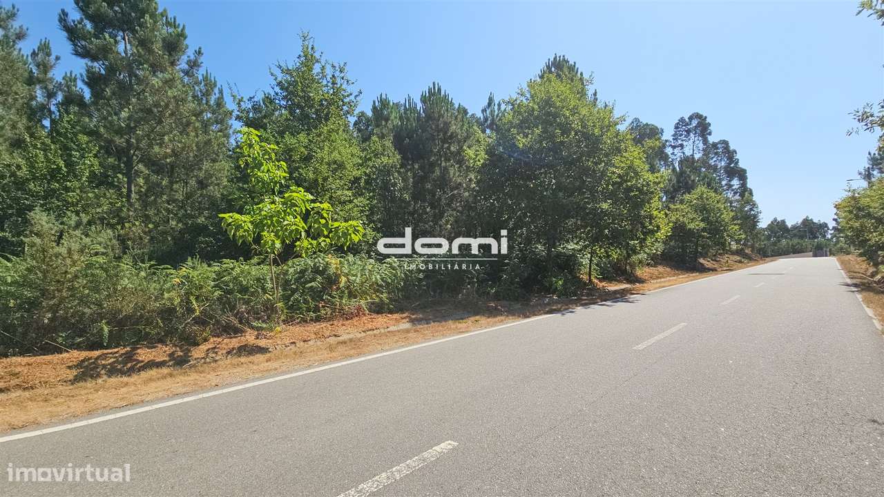 &#127969; Terreno com Viabilidade de Construção em Santa Cruz da Trapa - Grande imagem: 5/8