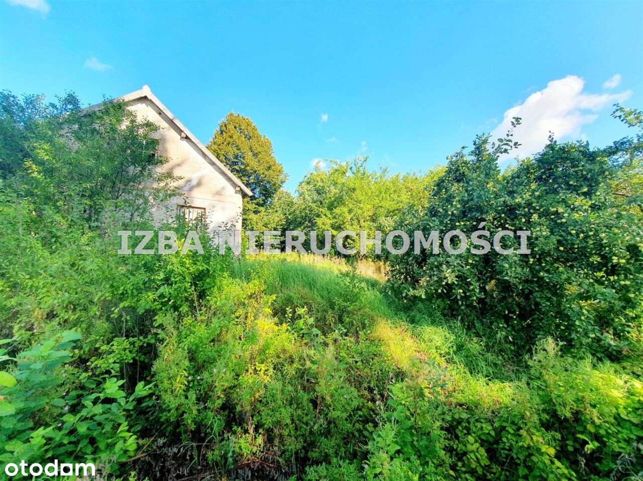 Działka, 88 000 m², Czaple-16