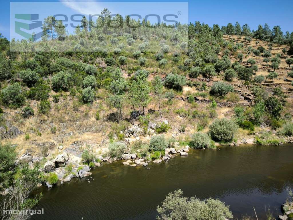 Terreno a confinar com o Rio Ocreza - Grande imagem: 3/14