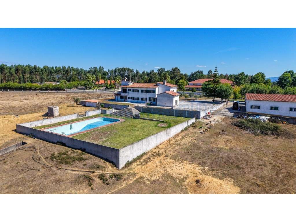 Quinta com 3,14 Hectares e Piscina | Ferreira do Zêzere-54