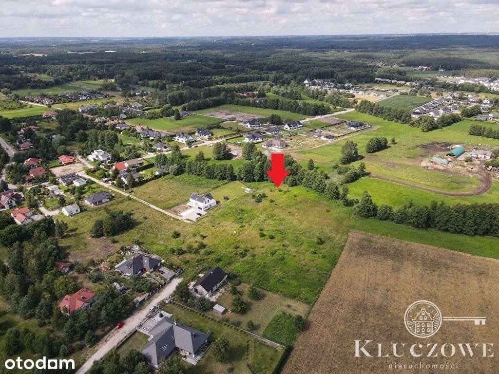 Ul. Leszczynowa, Czarne Błoto/Rozgarty-4