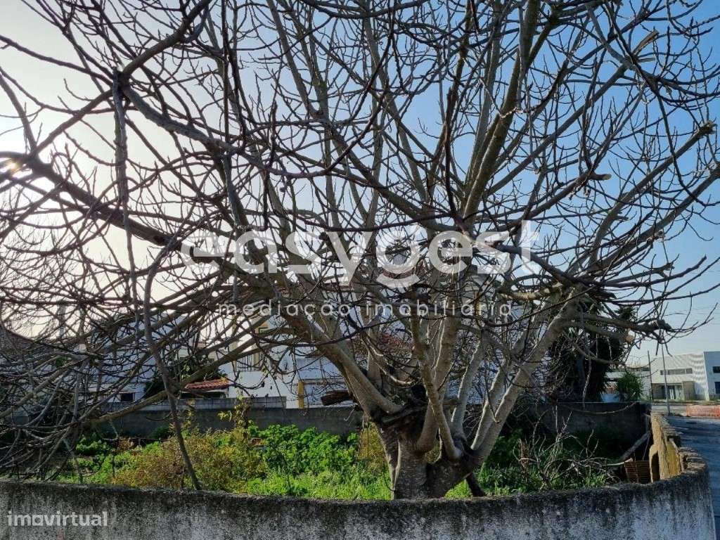 Lote de Terreno Urbano para construção em Ferreira do Alentejo, Beja - Grande imagem: 2/12