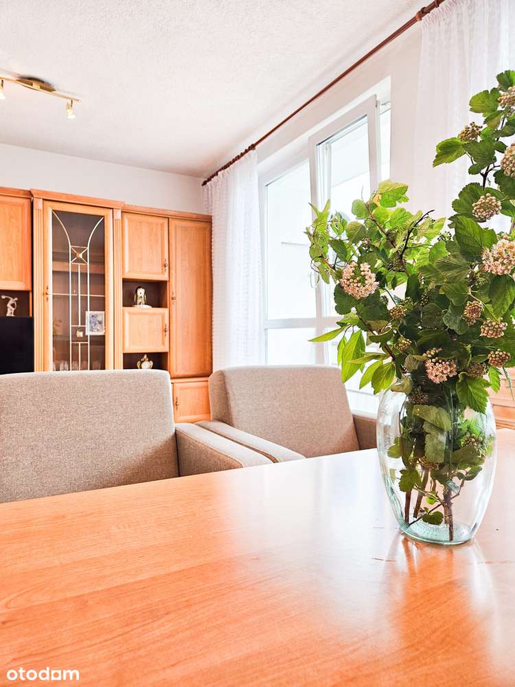 3 duze pokoje z balkonem, park Cegielnia!-4