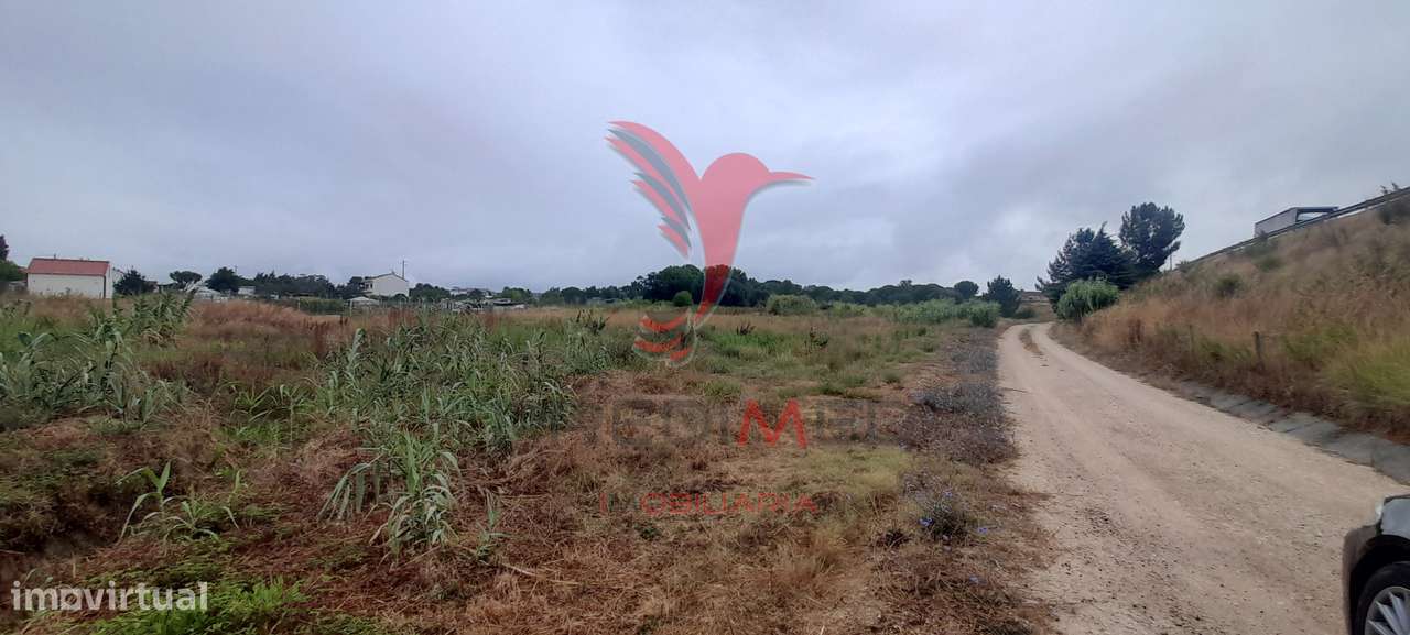 Terreno Industrial - Grande imagem: 2/31