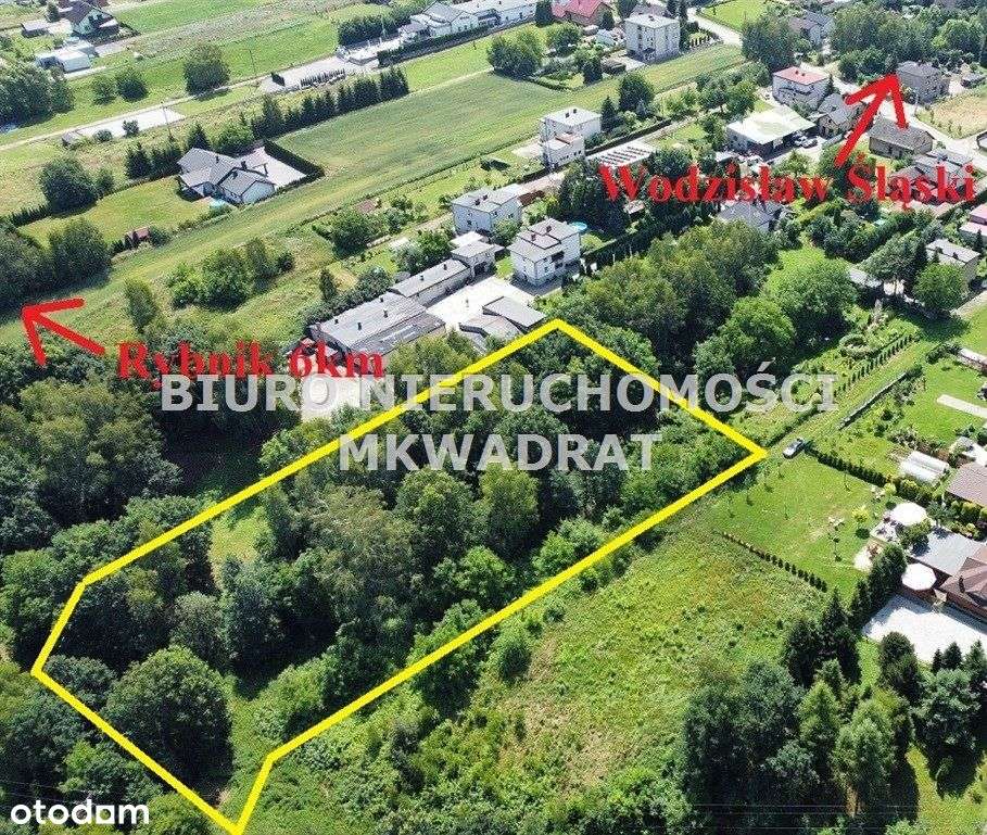 3037m2,dobra cena i spokojna okolica-1