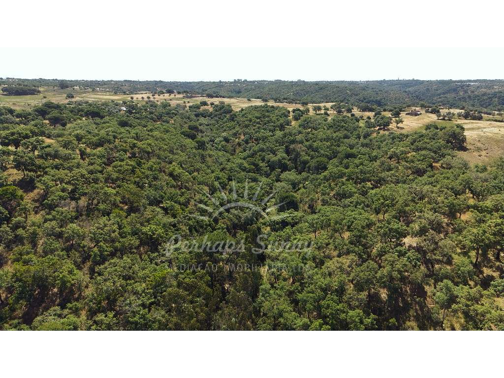 Terreno Misto - São Francisco da Serra - Melides-26