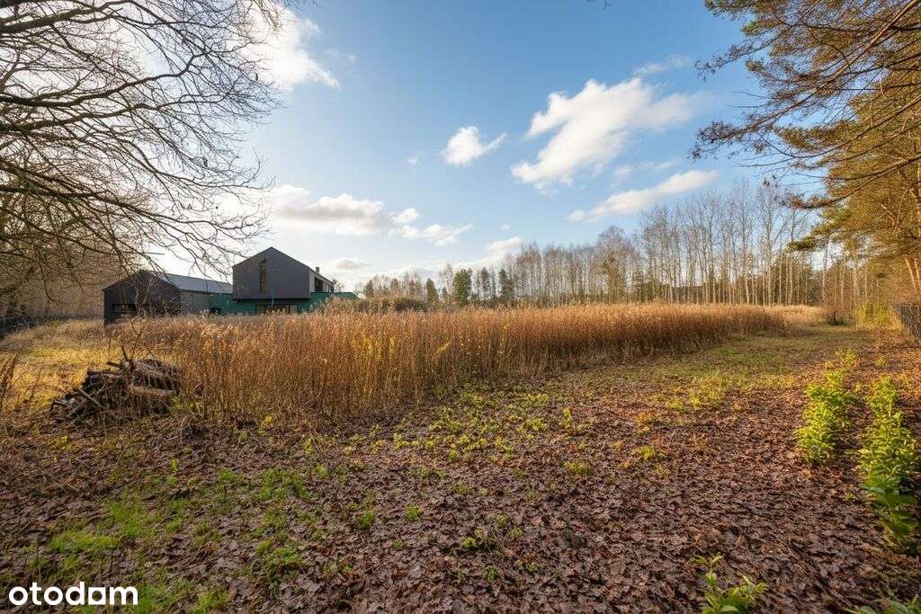 Sąsiedztwo lasu | Cisza | Blisko Warszawy-0