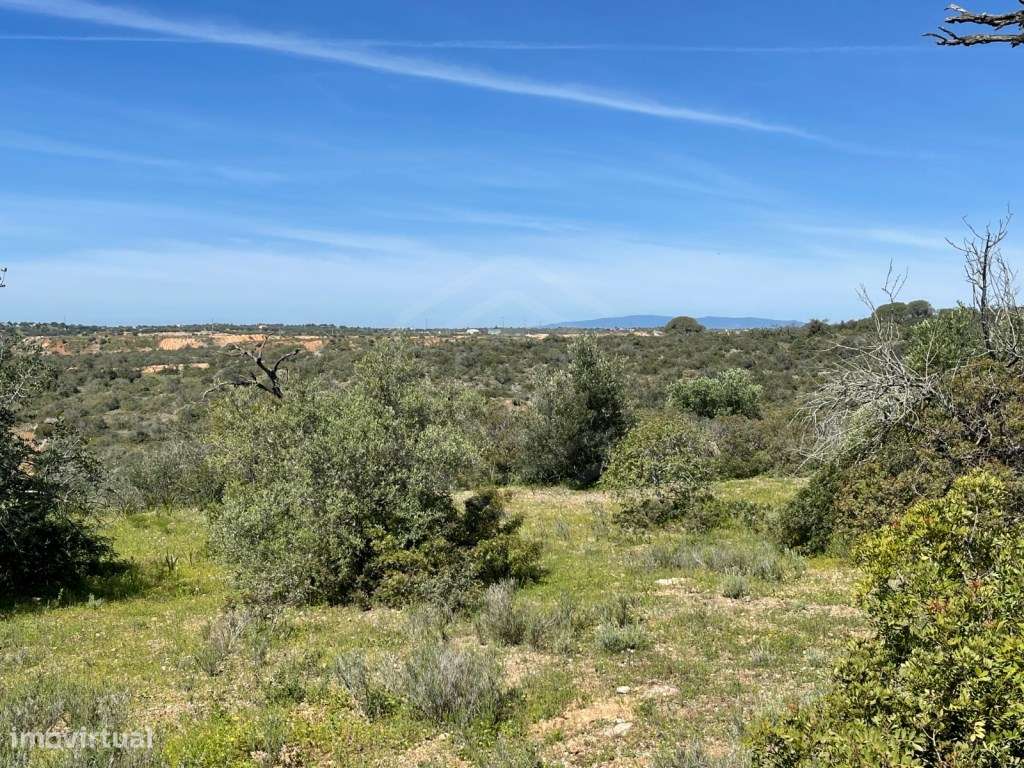 Terreno Rústico com 2160 m2 em Paderne - Albufeira, Algarve - Grande imagem: 5/6
