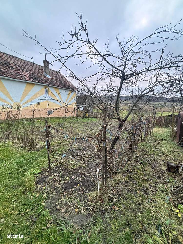 Casă tradițională cu 66 de ari teren în Galații Bistriței –-9