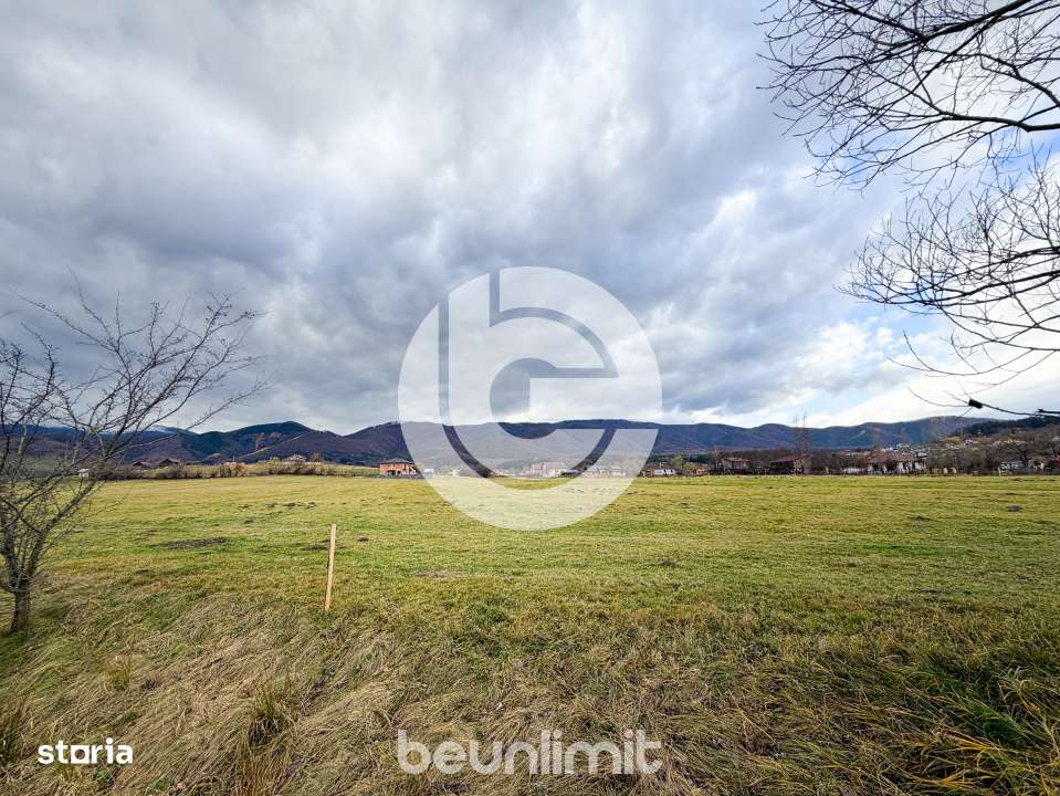 Teren intravilan in Tocile - 4354 m² - 2 fronturi - 49 euro/mp-9