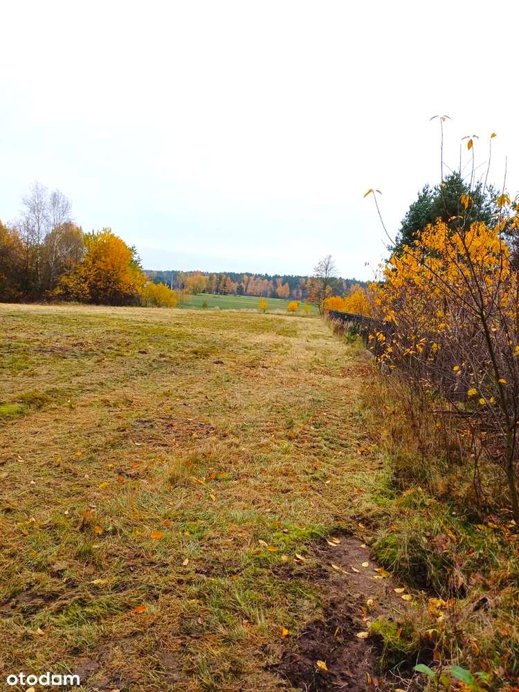 Złota polska jesień w objęciach rzeki Liswarty - Pełny obrazek: 4/9