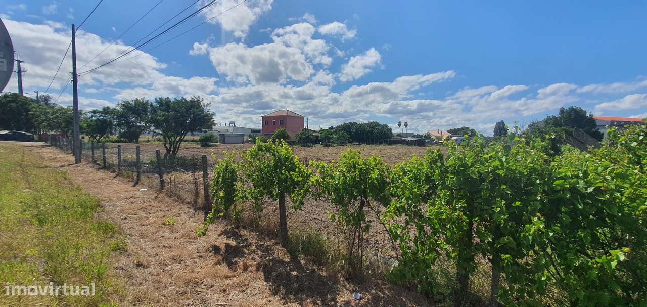 Quinta  5000m2 Viver no Campo Com a Cidade Por Perto Passil Alcochete-35