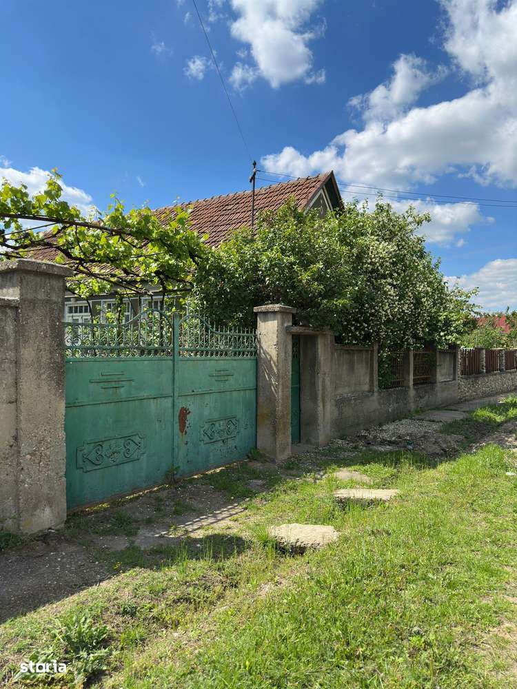 De vânzare | Casă tradițională la sat + teren 1.500 mp. Sat  Săbolciu-5