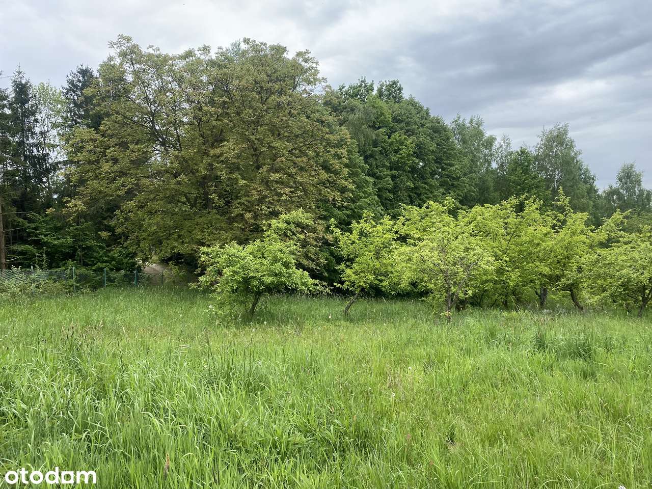 Woźniki. Malownicza działka dla dewelopera lub pod willę. - Pełny obrazek: 5/5