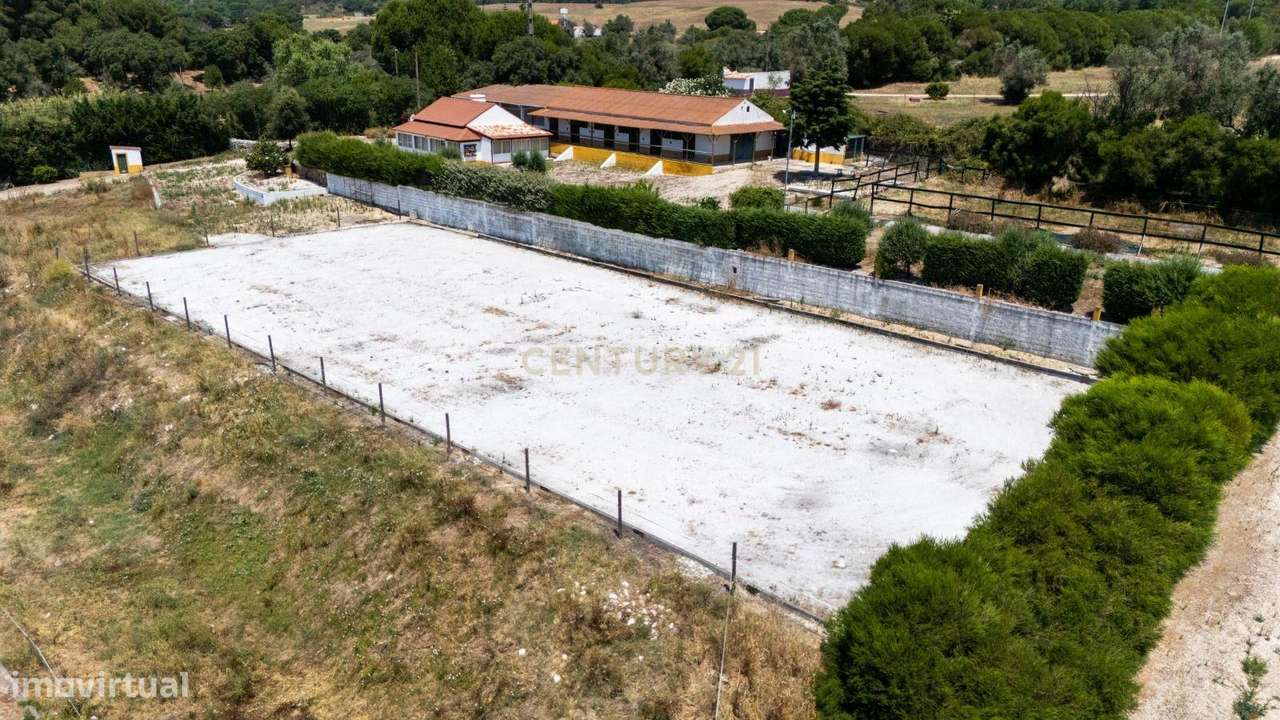 Quinta Equestre a 45 minutos de Lisboa-5