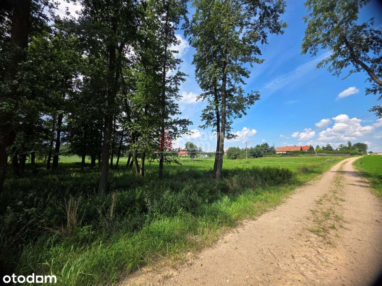 Działki Kożuchy Wielkie Z Lasem!-8